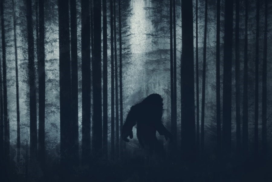 Misteri yang Tersimpan di Daratan Papua