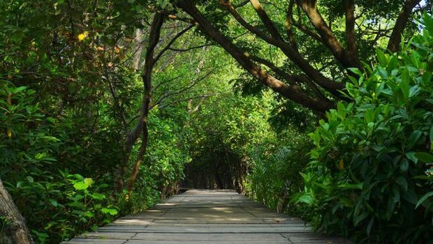 5 Tempat Tersembunyi di Indonesia yang Wajib Dikunjungi