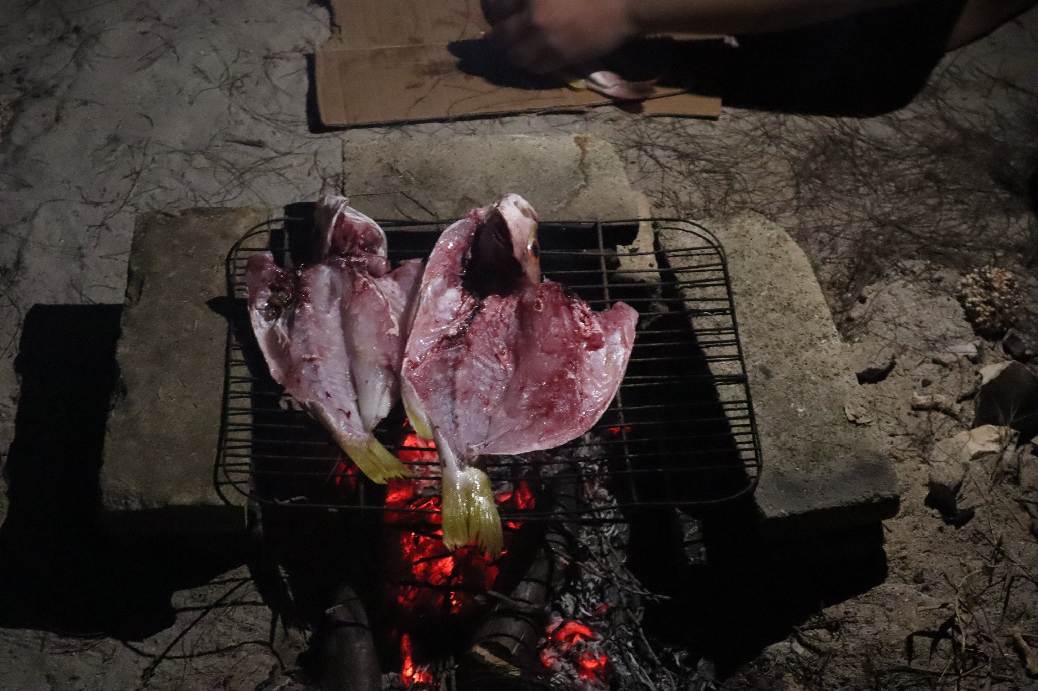 Tips dan Trik Memasak Tanpa Menggunakan Gas Elpiji 3 Kg, Ini Caranya!
