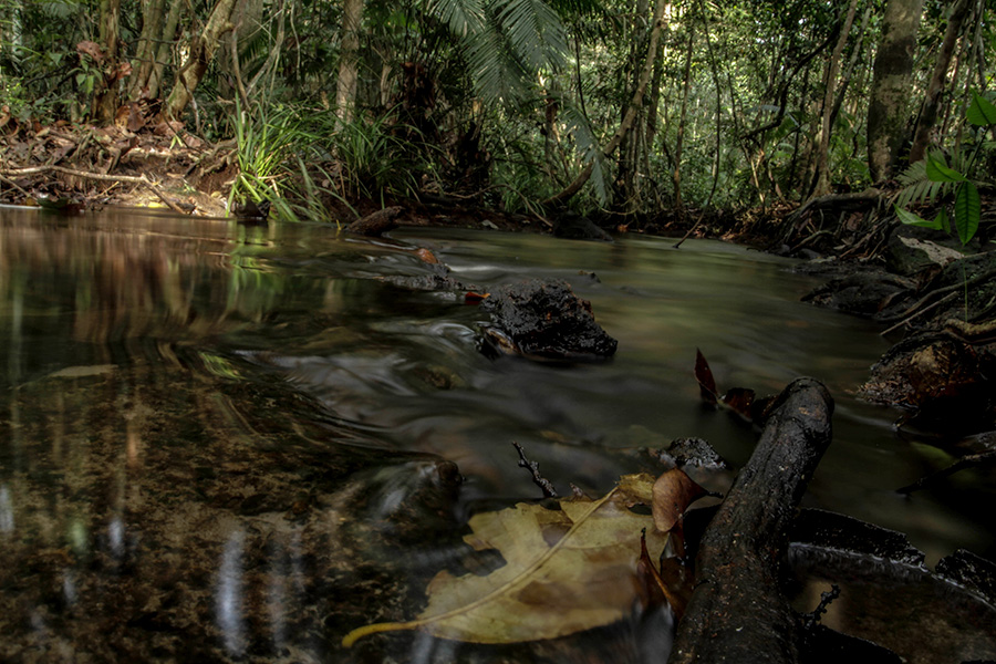 Seram! Sungai di Indonesia yang Dipercaya Menyimpan Misteri