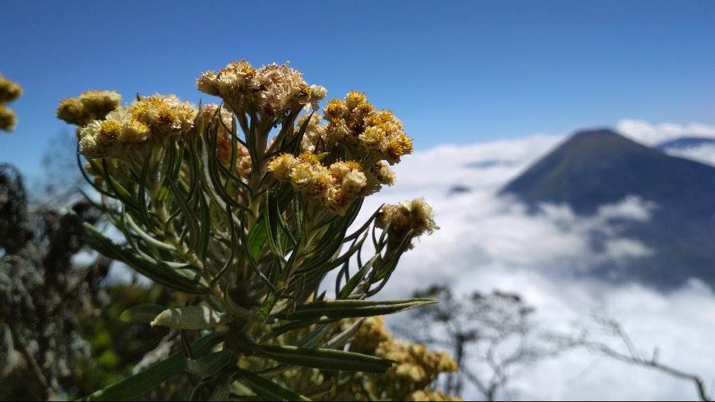 Pengalaman Aneh dan Mistis di Gunung Sumbing – Cerita Bagian 2