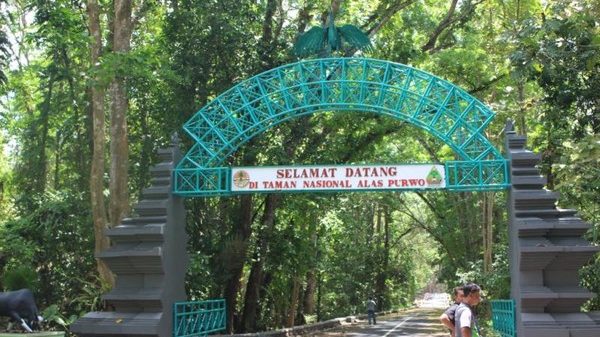 Mau Kaya? Berikut Daftar Tempat Pesugihan Paling Terkenal di Indonesia
