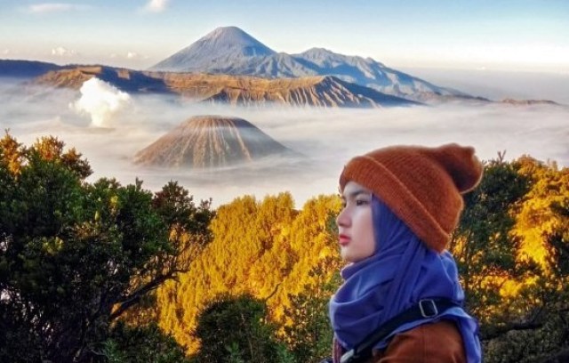 Hasil gambar untuk taman nasional bromo