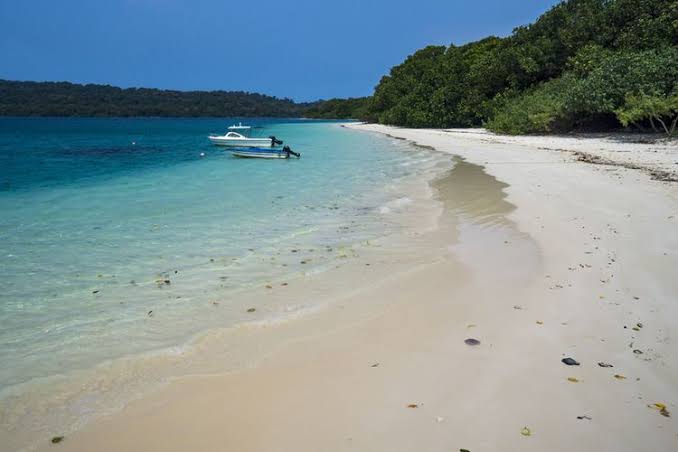 Sempat Ditutup, Taman Nasional Ujung Kulon Resmi Dibuka Kembali