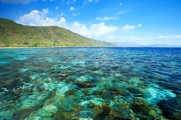 Indonesia Kembali Urutan Pertama Wisata Selam di Dive  Travel Awards 2020