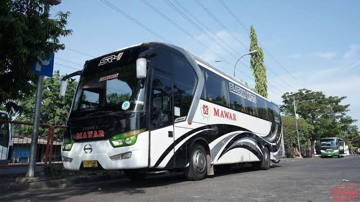 Ini Istilah Bus dari Blong hingga Telolet