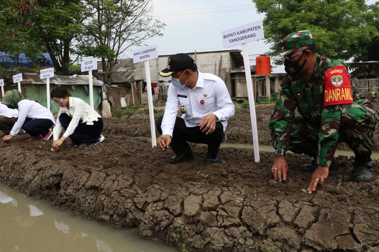 Kampung Rawalini Teluknaga Jadi Pusat Gerekan Tanaman Hortikultura di Kabupaten Tangerang