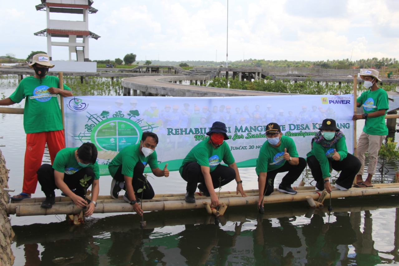PLTU Lontar Tanam 5000 Mangrove di Ketapang Mauk