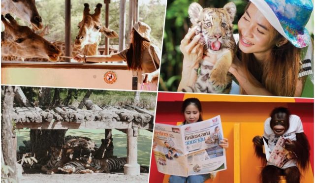 Most Instagrammable Spots In Safari World Bangkok - KKday Blog