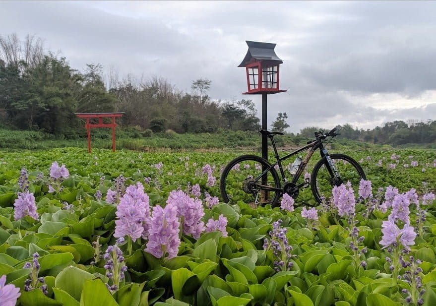 Layaknya Pemandangan Jepang, Lokasi Wisata ini Ternyata ada di Indonesia