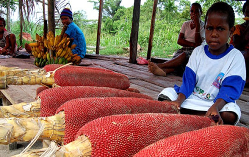 Ini Dia Buah Primadona Orang Papua