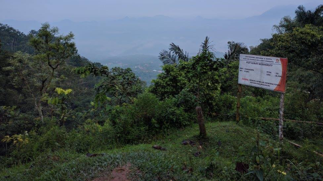 Tersesat Di Hutan? Jangan Panik Ini Jalan Keluarnya