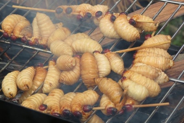 Tiga Makanan Ekstrim Paling Populer di Dunia, Berani Coba?